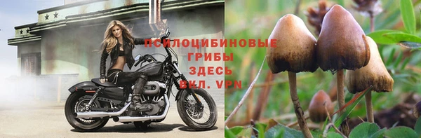 дурь Нефтекумск