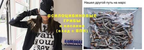 дурь Нефтекумск