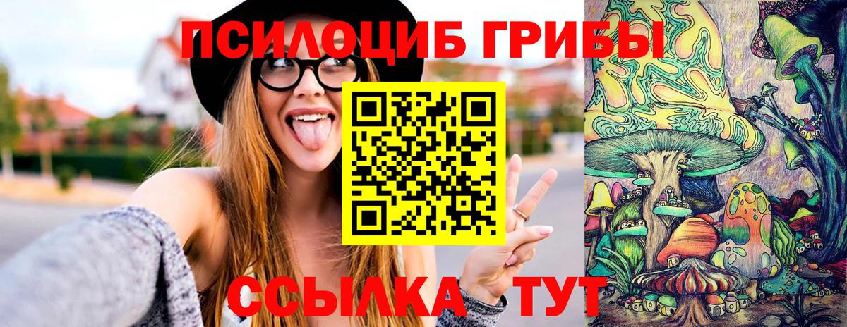 Псилоцибиновые грибы прущие грибы Махачкала