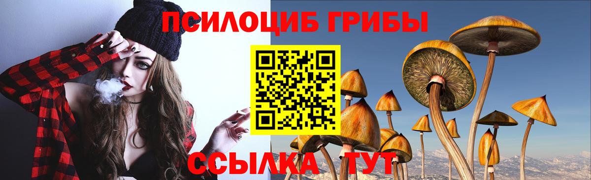 Псилоцибиновые грибы GOLDEN TEACHER  Псилоцибиновые грибы ЛСД  Вход с VPN  Махачкала 